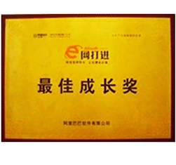 阿裏軟件最佳成(cheng)長(zhang)獎